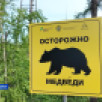 Систему защиты туристов от медведей установили в национальном парке "Ленские столбы"