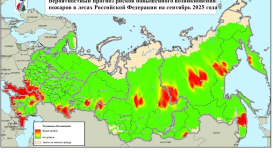 Авиалесоохрана представила прогноз пожарной опасности в лесах на сентябрь 2025 года