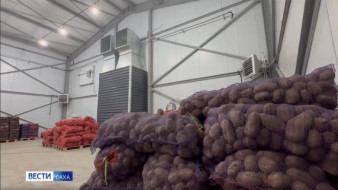 Более 500 тонн свежих овощей завезено в арктические районы Якутии