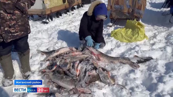 В Жиганском районе прошел фестиваль подледной рыбалки "Мормышка"