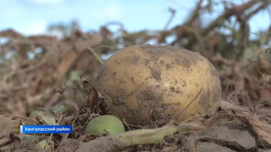 В Якутии продукция сельхозкооператива получила сертификат "Роскачество — Органик"