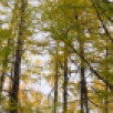 Прогноз погоды в Якутске на 7 сентября