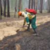 В нескольких районах Якутии ожидается повышение класса пожарной опасности леса