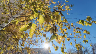 Прогноз погоды в Якутии на 5 октября