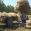 Хаһаайыстыбалар окко киирдилэр