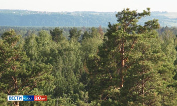 В Якутии за прошедшие сутки ликвидирован 1 лесной пожар