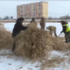В Якутске на озёрах продолжается уборка камыша