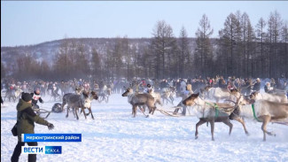 В Нерюнгринском районе отметили День оленевода