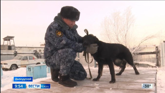 Выпуск "Вести Саха" 11.12.2025 (09:30)