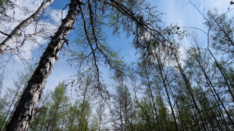 Прогноз погоды в Якутии на 27 июля