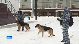 В Центр кинологической службы МВД Якутии поступили два щенка немецкой овчарки