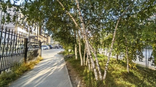 Прогноз погоды в Якутии на 7 сентября