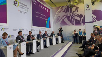 Айсен Николаев: Реализация Энергостратегии невозможна без активного участия регионов