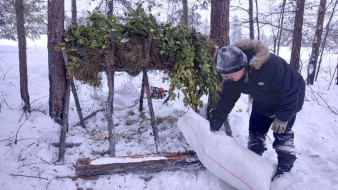 В Хангаласском районе Якутии экологи продолжают подкормку диких животных