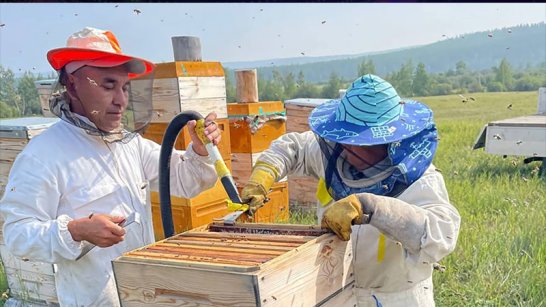 Жители Якутии развивают бизнес на "дальневосточных гектарах"