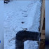 В Намском районе Якутии запечатлели на видео белого воробья
