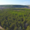 В Горном районе установился высокий V класс пожарной опасности леса