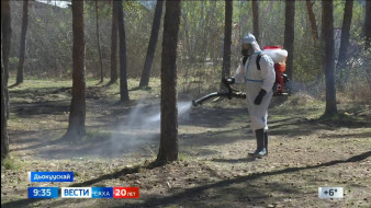 Выпуск "Вести Саха" 26.05.2025 (09:30)