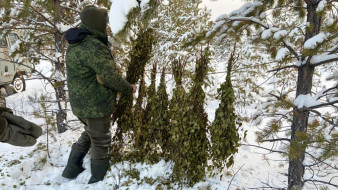 В Олёкминском районе инспекторы обустроили на охотничьих угодьях места подкормки животных