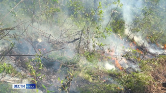 В Якутии виновник лесного пожара выплатит средства затраченные на его тушение