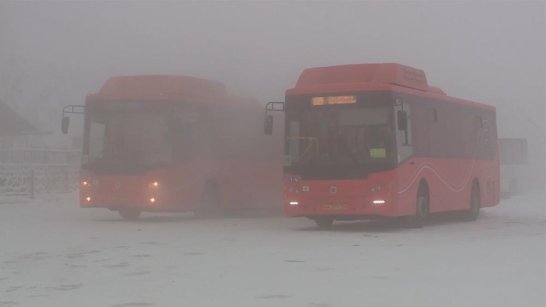 В новогоднюю ночь в Якутске будет курсировать бесплатный маршрутный автобус