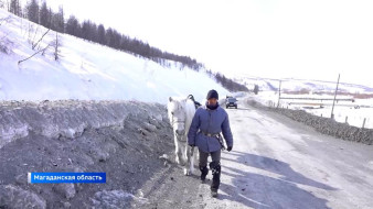 Больше месяца в пути. Путешественник Дугуйдан Винокуров совершает переход Оймякон-Сеймчан