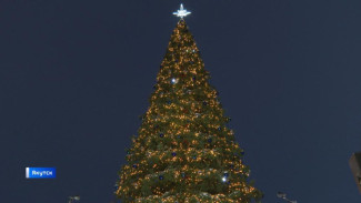 В Якутске 1 декабря состоится торжественное зажжение главной новогодней ёлки