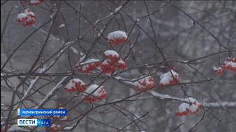 5 ноября. День в истории - даты, события