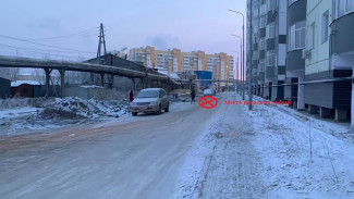 В Якутске водитель допустил наезд на собаку и скрылся с места происшествия