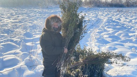 В Якутии на территориях ООПТ продолжается зимний маршрутный учет