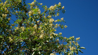 6 июня. День в истории - даты, события