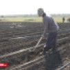 Саха сиригэр ыһыы хампаанньата саҕаланна