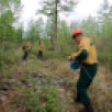 В Якутии действует 123 природных пожара
