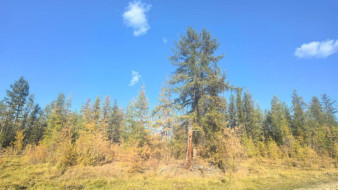 В Сунтарском районе пропал пожилой мужчина