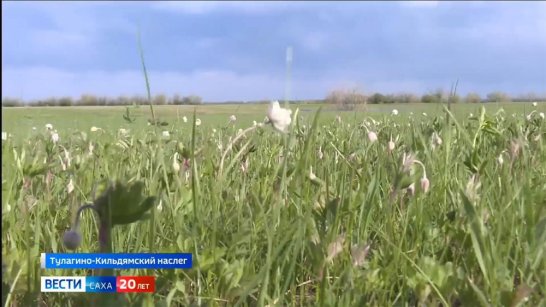 Прогноз погоды в Якутии на 7 июня