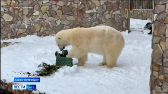 Выпуск "Вести Саха" 17.01.2026 (20:50)