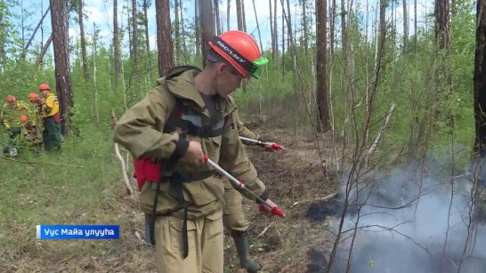 В Якутии за прошедшие сутки ликвидировано 14 лесных пожаров
