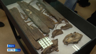 Археологические экспедиции и этнографические коллекции. В Якутске проходит выставка уникальных артефактов