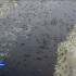 На реке в Мирнинском районе якутяне запечатлели огромную стаю уток