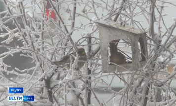 13 декабря. День в истории - даты, события