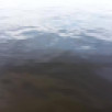"Вода России". 18 июня в Амгинском районе состоится субботник ко Дню реки Амга