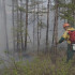 В Якутии потушено 3 лесных пожара площадью более 16 тысяч га за сутки 