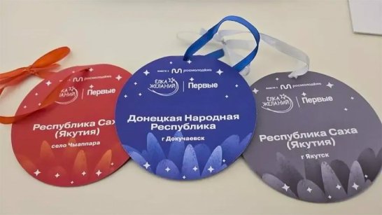 Айсен Николаев исполнит новогодние желания детей из Якутии и ДНР