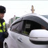 Осторожно, дети! В период осенних каникул Госавтоинспекция проводит профилактические мероприятия