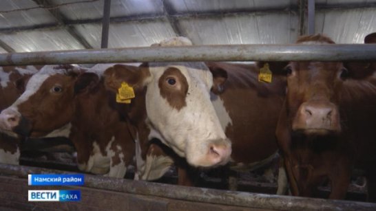 Эпизоотическая ситуация в Якутии стабильна: проводятся мероприятия по предотвращению распространения заболеваемости