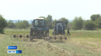 Аграрии Якутии приступили к заготовке корма для крупного рогатого скота