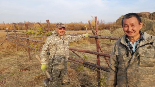 Хозяйства шести районов Якутии перевыполнили план по кормозаготовке