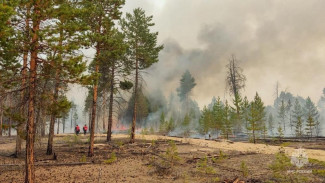 В Якутии ожидается установление высоких классов пожарной опасности леса