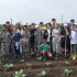 Свыше 2 тысяч подростков трудоустроили этим летом в Якутии