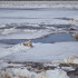В Якутии на реках Лена и Алдан отмечается повышение уровней воды